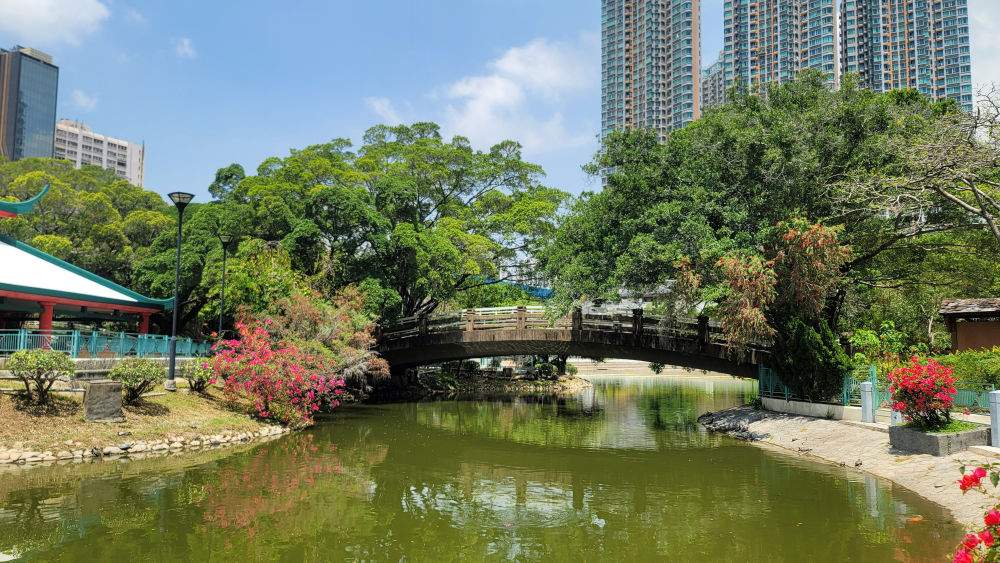 夢喵湖（實景）